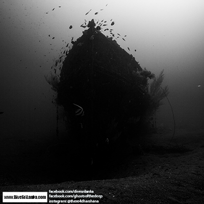 Ghosts of the Deep page VI - Black Coral Wreck